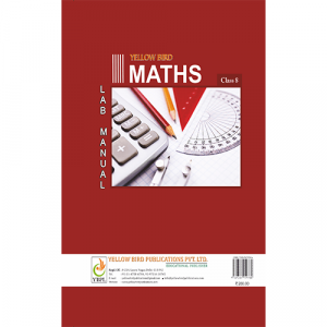 Maths Lab Manual - 8